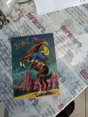 Panini cartolina maxi - ed.,