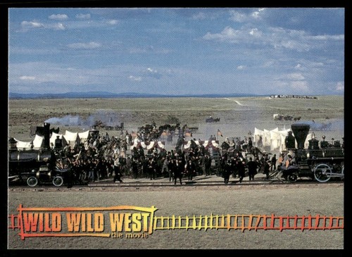 Scheda film wild - scheda,