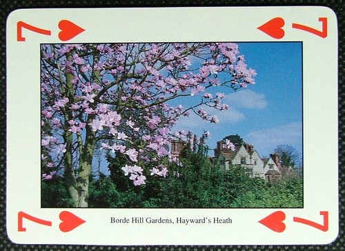 Playing card west sussex - playing,